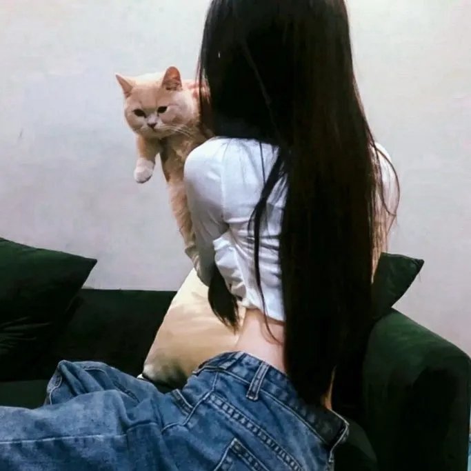 如剧如戏 在线观看
